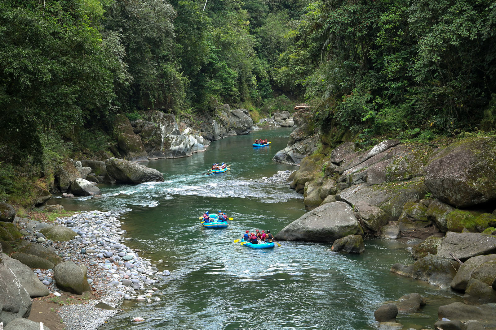 Pacuare River Rafting Tour (class III-IV)