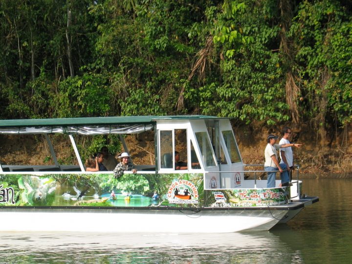 Cano Negro Wildlife Boat Tour