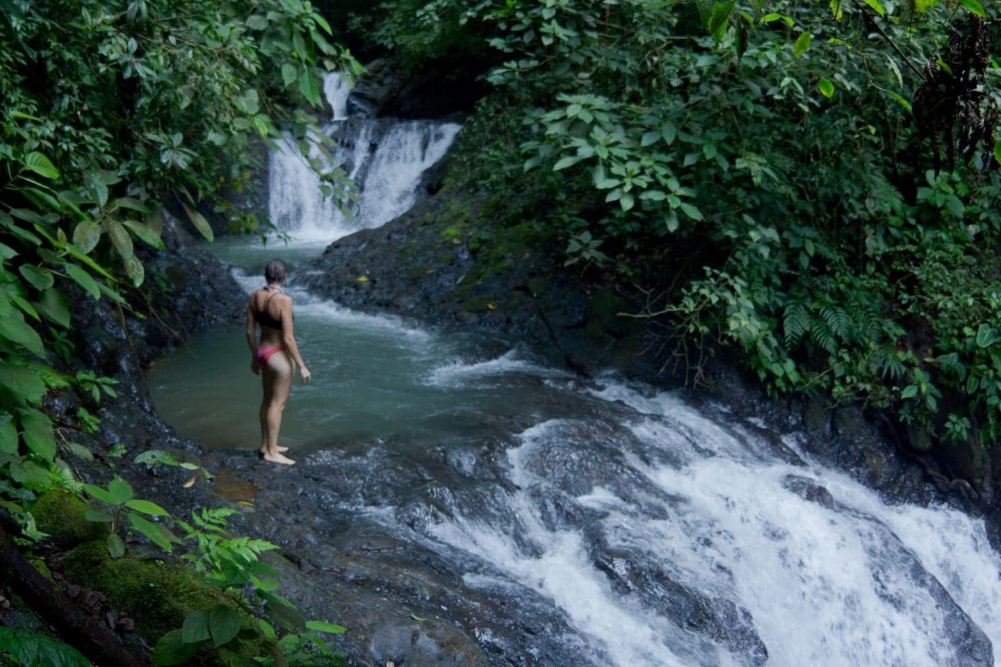 The Explorer: Rainforest & Waterfalls