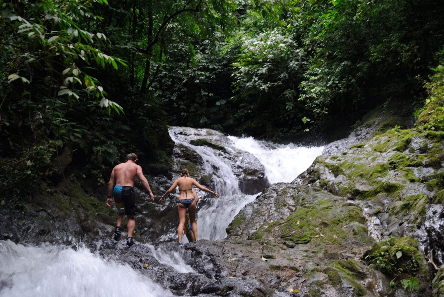 The Explorer: Rainforest & Waterfalls