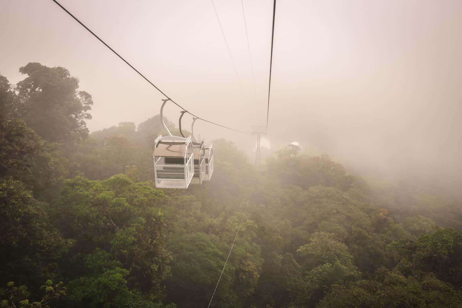 Monteverde Cloud Forest Experience