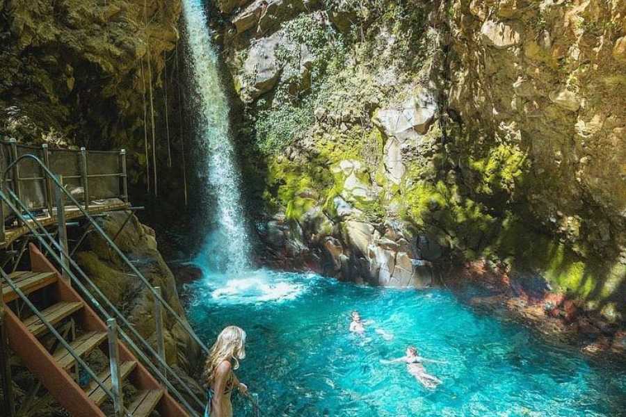 Rincon de la Vieja Volcano Hike, Waterfall Swim & Hot Springs Combo