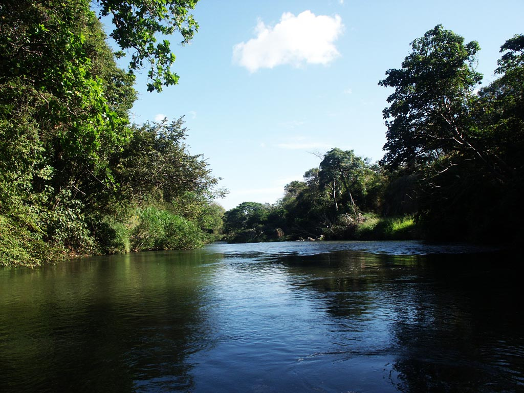 Corobici River Safari