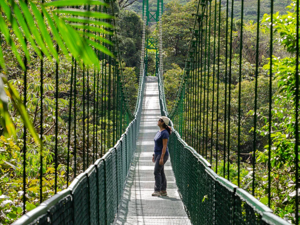 Monteverde Hanging Bridges + Butterfly Gardens