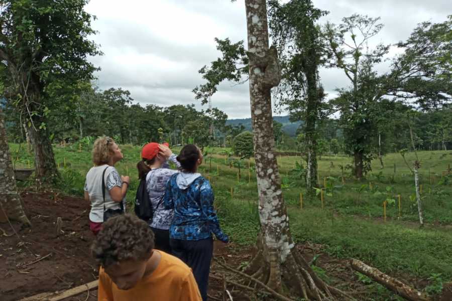 Guanacaste Rainforest Tour