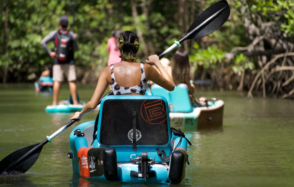 Damas Mangrove Kayak Adventure