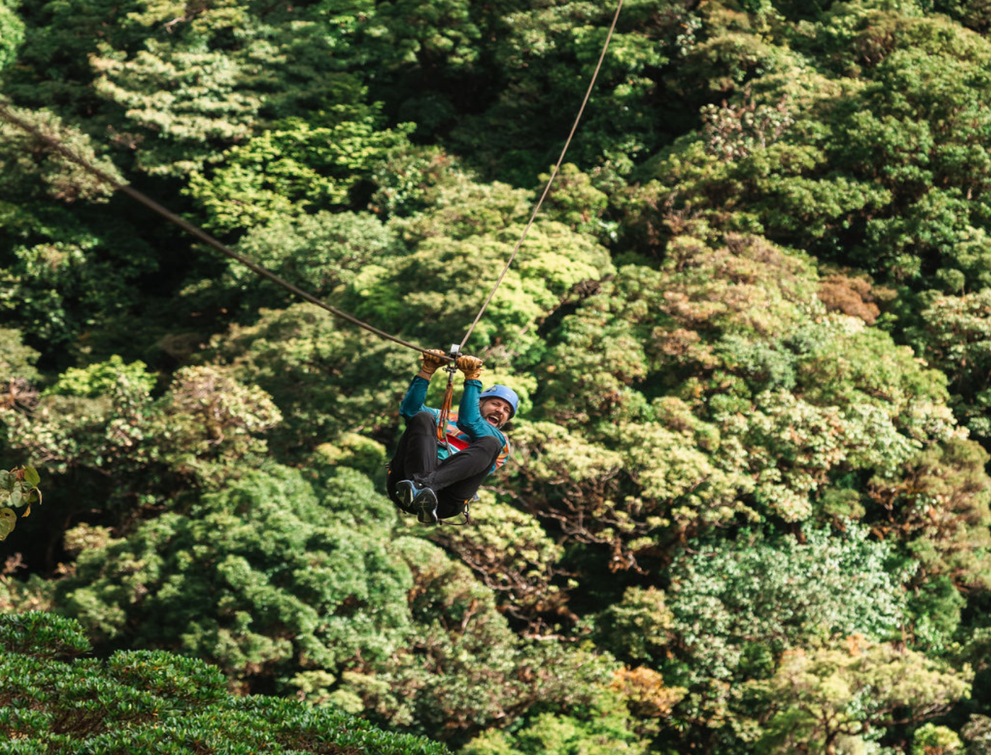 Sky Adventures: Monteverde SkyTrek Canopy