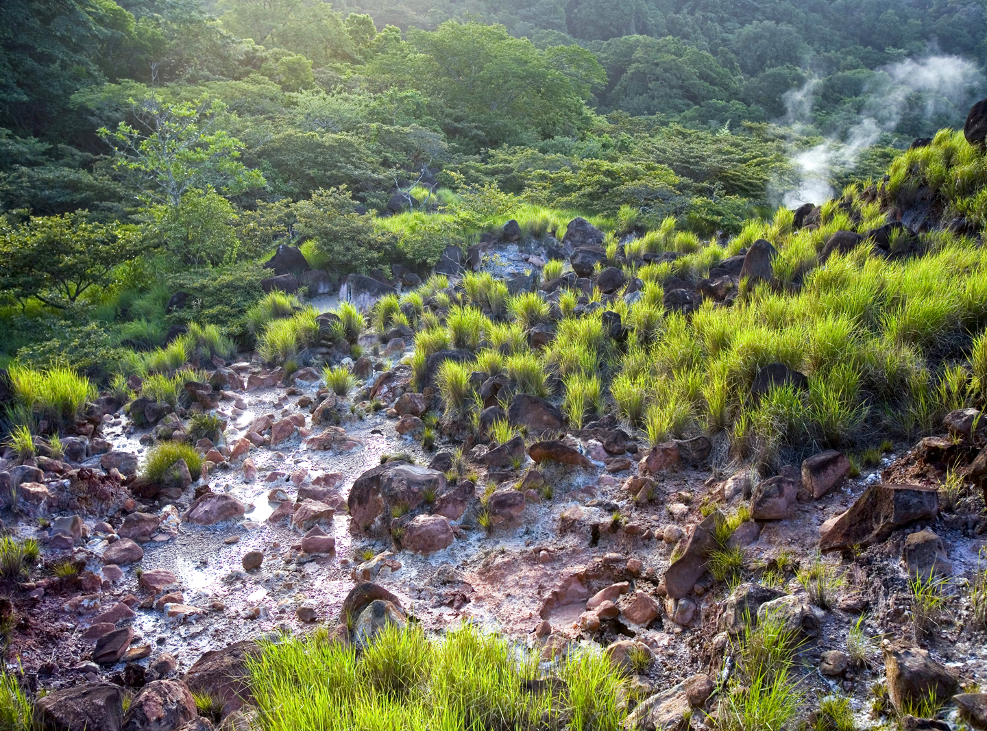 Rincon de la Vieja Volcano Hike, Waterfall Swim & Hot Springs Combo