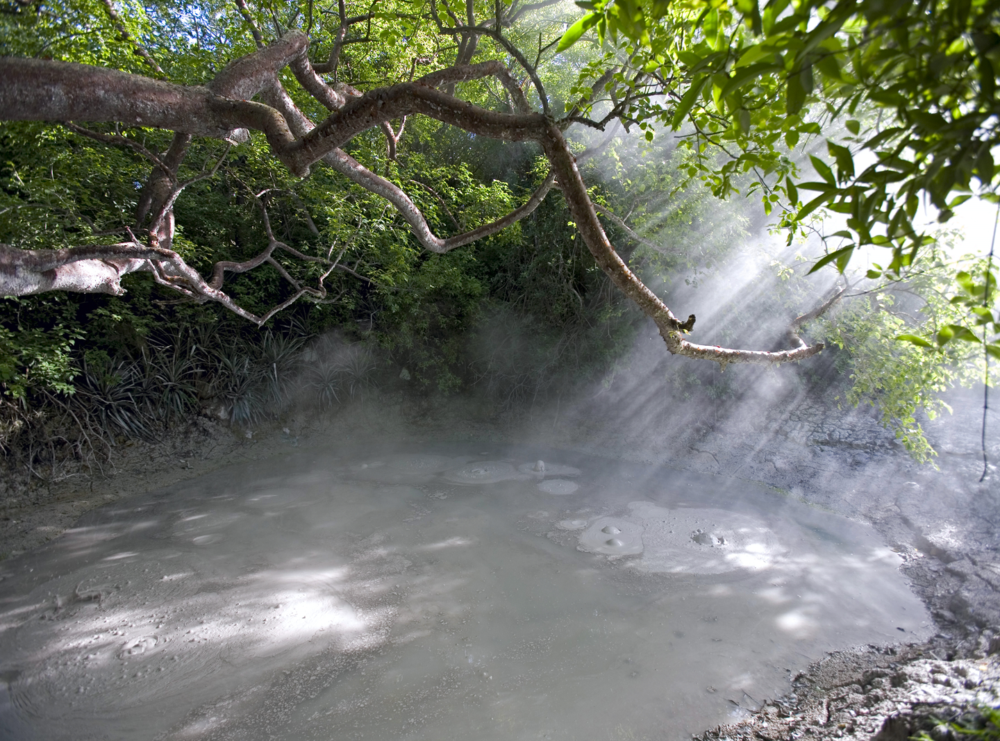 Rincon de la Vieja Volcano Hike, Waterfall Swim & Hot Springs Combo