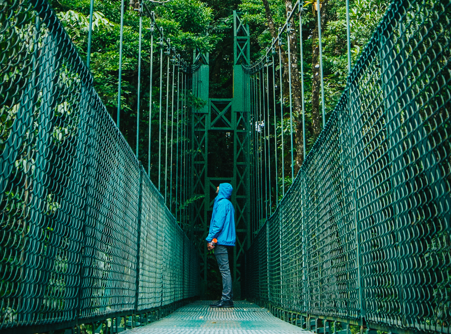 Monteverde Hanging Bridges + Butterfly Gardens + Sloths Garden